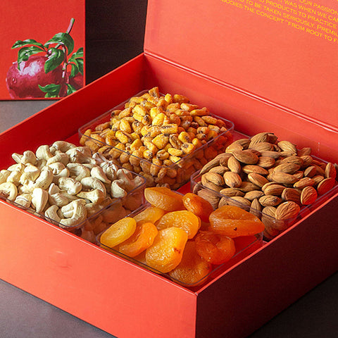 Crunchy Nutty Fruity Feast Dry Fruit Gift Box